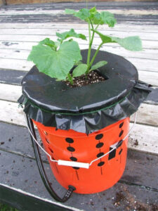 Bucket