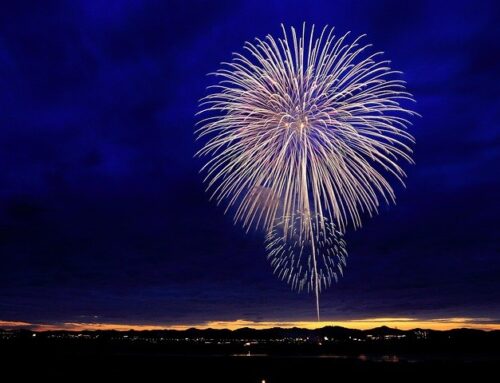 Navigating A Mid Life Pivot in the New Year: Back to “Normal” or Moving Toward a New Future?