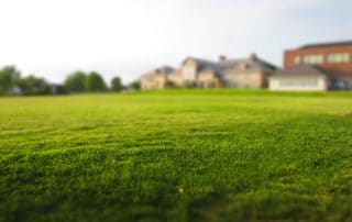 Estate Planning